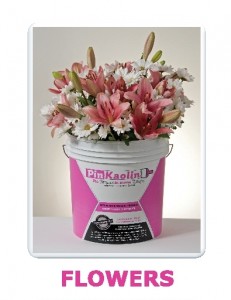 Pinkaolin flowers