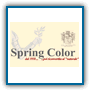 logo spring color